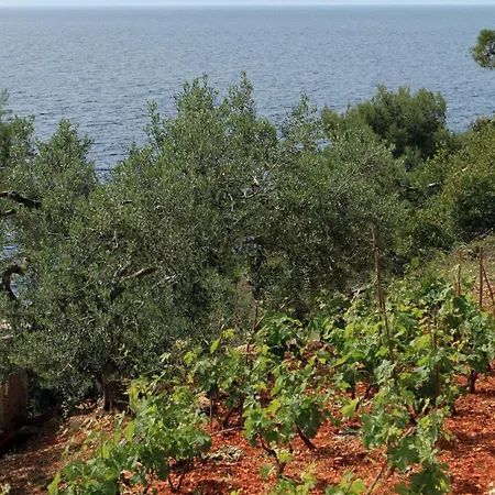 Vikendica Secluded Fisherman's Cove Lucica, Hvar - 4034 Gdinj