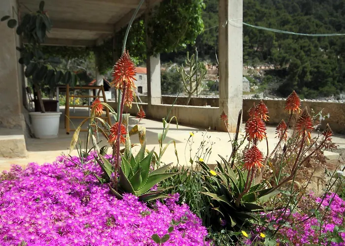 Hébergement de vacances Secluded Fisherman's Cove Lucica, Hvar - 4034 Gdinj