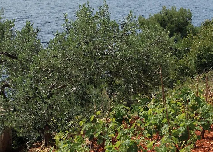 Hébergement de vacances Secluded Fisherman's Cove Lucica, Hvar - 4034 Gdinj